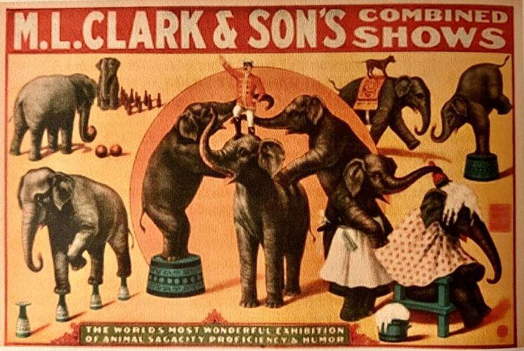 alexandria circus 1