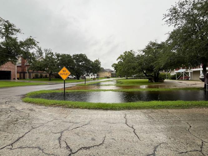 NO.tamfrancine.091124_01