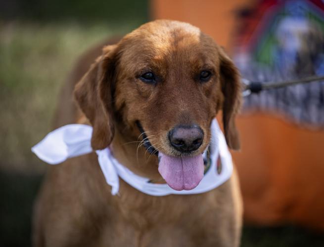 BR.hotballoonzac.081325_6909 MJ.JPG